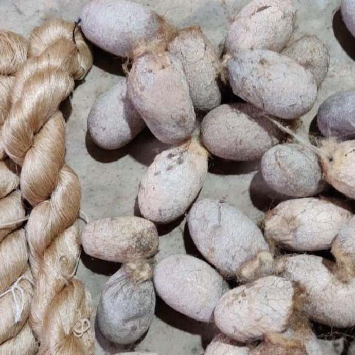 The difference between conventional silk, organic silk, organic peace silk